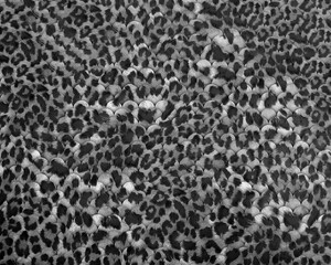 abstract leopard print texture design	
