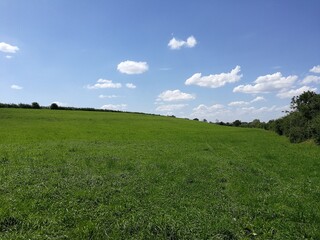 Summer in Burgundy's countryside, France - July 2019