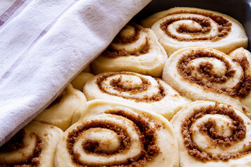 Unbaked cinnamon buns rising under a tea towel; delicious cinnamon rolls ready to bake in the oven