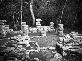 Mayan Ruins Mexico Photography Print
Mexico for sure is one of my favorite & I’ve visited lots of...