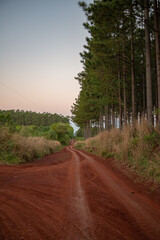 Obraz premium Calle de tierra colorada y árboles, Misiones, Argentina, 9 de octubre de 2019