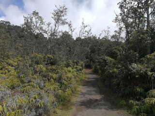 Kīlauea volcano, Hawaii Island, HI - January 2020