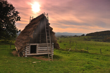 Early medieval log house