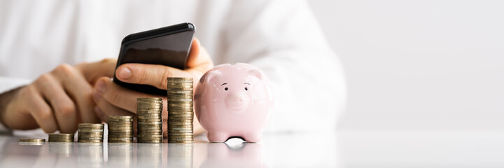 Save Money In Piggybank. Mobile Banking