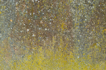 old,cement,wall,with,molds