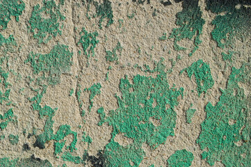 wall,with,grainy,surface,old,remnants of green paint