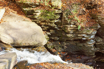 waterfall in the forest