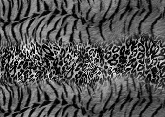 Fototapeta na wymiar abstract leopard print