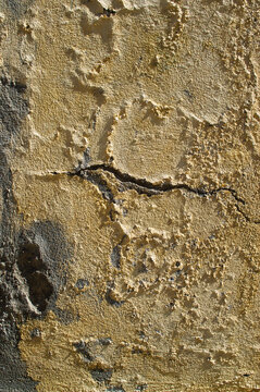 cement,wall,cracks,saltpetre-infused,yellow
