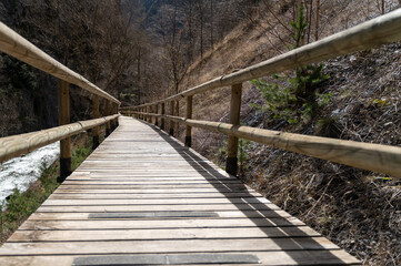 Obraz premium path made of wood perspective view to the center of the image