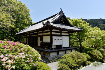 Obraz premium 観心寺 鎮守堂拝殿 大阪府河内長野市