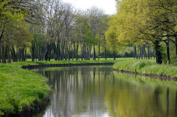 Fototapeta na wymiar Canal waterway winding through spring trees and foliage, Canal latéral à la Loire, France