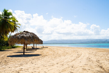 Fototapeta na wymiar umbrella on the beach, Beaches (Dominican Republic)