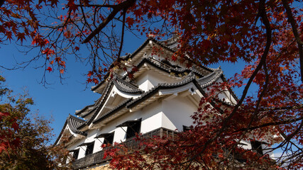 Fototapeta premium old castle at night