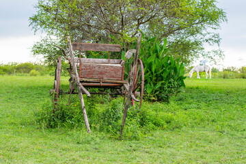 Naklejka premium Carro abandonado en el campo, y a lo lejos se ve a un caballo pastar