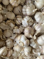 close up fresh garlic in market