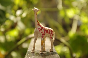 Plastic toy Giraffe on the sunset in Nicaragua near the jungle of bindweed