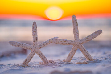 Fototapeta na wymiar Starfish on the ocean beach. Spring or summer vacations. Beautiful ocean sunset. Sea or Ocean coast with white sand. Florida paradise. Tropical nature. Beautiful ocean sunset. Good for travel agency. 