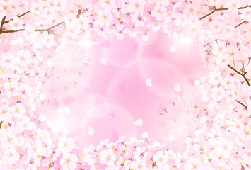 Fototapeta na wymiar 満開の桜の神秘的な背景素材