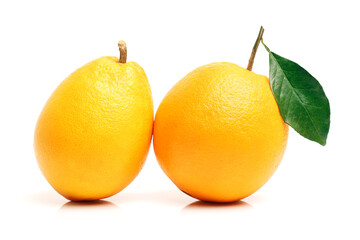 Orange fruit on the white background