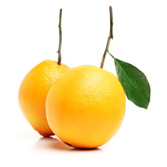 Orange fruit on the white background