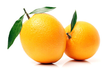 Orange fruit on the white background