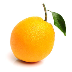 Orange fruit on the white background