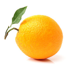 Orange fruit on the white background