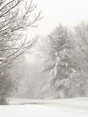 Winter wonderland after snow storm. Beautiful panorama of snow filled country road and trees . Christmas time. Winter nature background