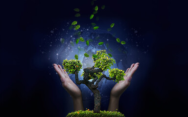 Hand and tree concept nature conservation and energy saving technology