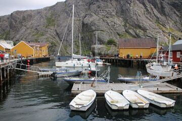 boats in the harbor