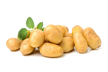 New potato isolated on white background 