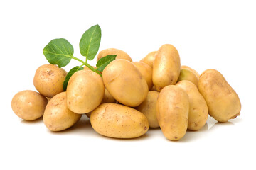 New potato isolated on white background 