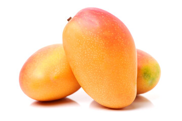 Mango on a white background