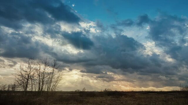 Trees silhouette with storm clouds and sunlight rays in background. 
Raw Video. No birds or flickering.