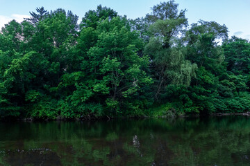 Fototapeta na wymiar Reflection of trees in lake. Trees on river shore