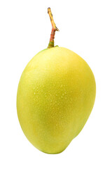 Mango on a white background