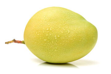 Mango on a white background