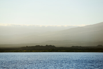 Isabela Island, Galapagos Islands, Ecuador.