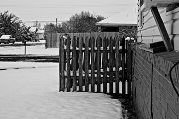Snow Fall Scenes following Severe Texas Winter Storm at Canyon, Texas.