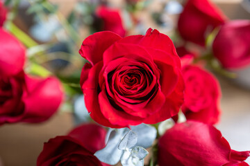 A rose with heart shaped petals in the middle for valentine's day