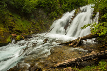 Refreshing long exposure of small waterfall with fast moving water, green trees, logs and clear water, Fairy Creek Falls, Fernie, British Columbia, Canada