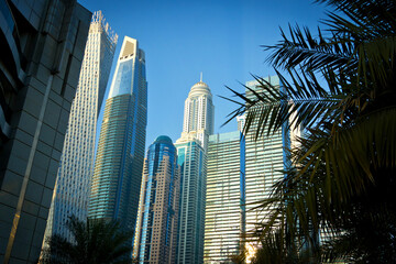 Fototapeta na wymiar tall buildings on the Dubai Marina on the shore of the Persian Gulf