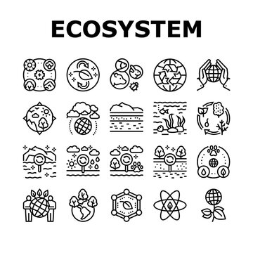 Ecosystem Environment Collection Icons Set Vector. Ecosystem And Ecology, Biodiversity And Life Cycle, Biosphere And Atmosphere Black Contour Illustrations