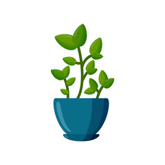 Potted plant. Green plant in cartoon style. Vector illustration isolated on white background