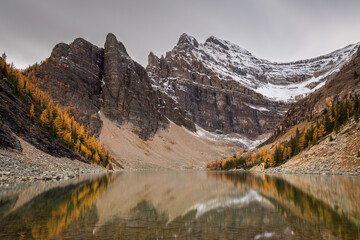 Fototapeta na wymiar Mountain peaks with snow during fall, rocks, yellow and green larches along a lake with clear reflections under a gray sky. Lake Louis, Lake Agnes, Banff National Park, Alberta, Canada.