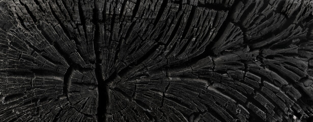 Dark black background of a burnt tree, soot, and ash. Burn texture. Aftermath of a forest fire.