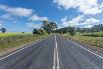 Fototapeta na wymiar Country Road Central New South Wales Australia - Near Cowra
