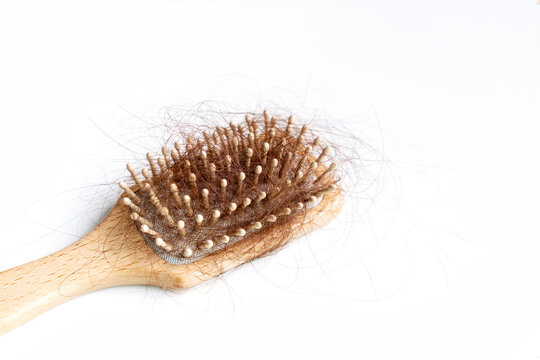 Closeup Of A Brush With Lost Hair On It, Hair Fall Everyday Serious Problem. Isolated On White Background. Beauty Concept. Flat Lay With Copy Space