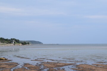 Coast and landscape of Newfoundland